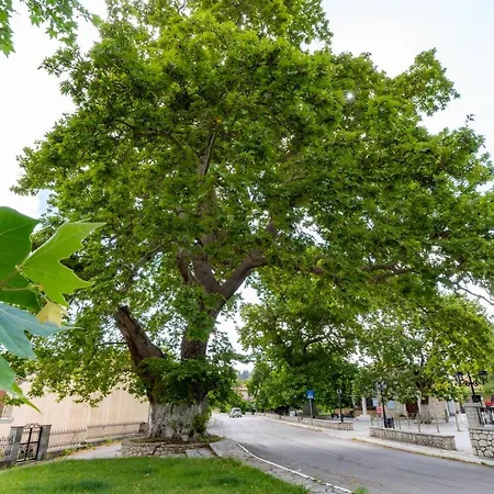 Two Traditional Houses In Lefkada Semesterbostad Asprogerakata